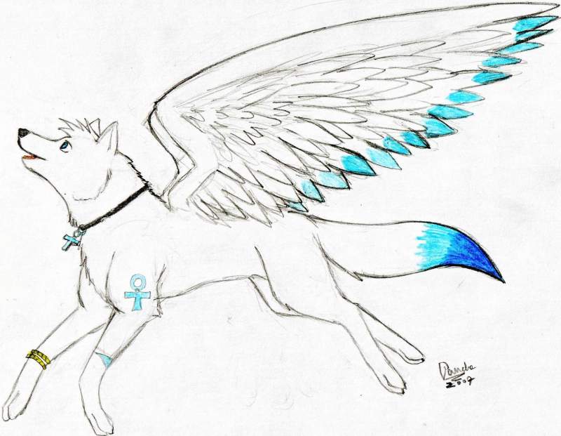 SilverDawn