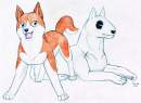 Terro and Shark