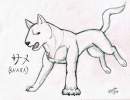 Shark Ohu soldier