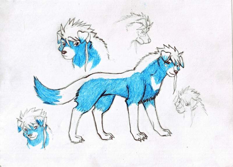 My new character Yuki