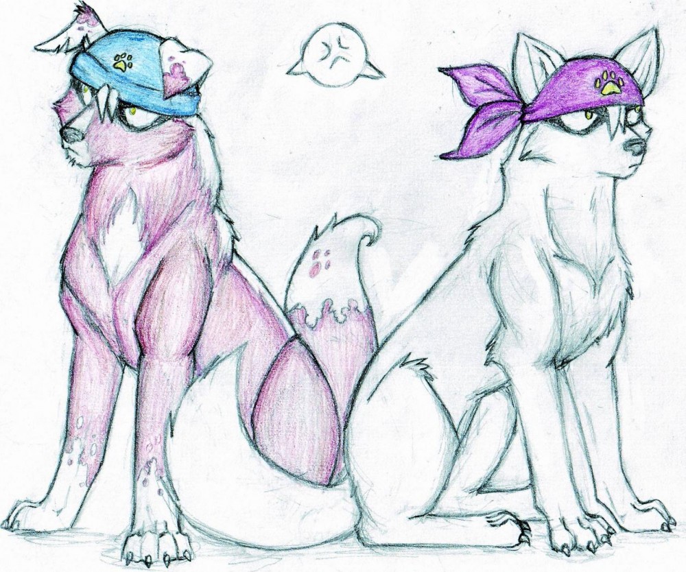 Kai & Kio 
