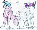 Kai & Kio 