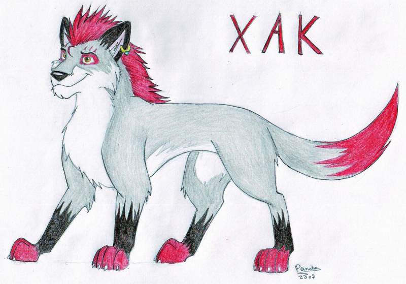 Xak