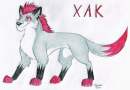 Xak