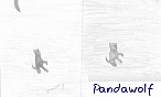 pandawolf