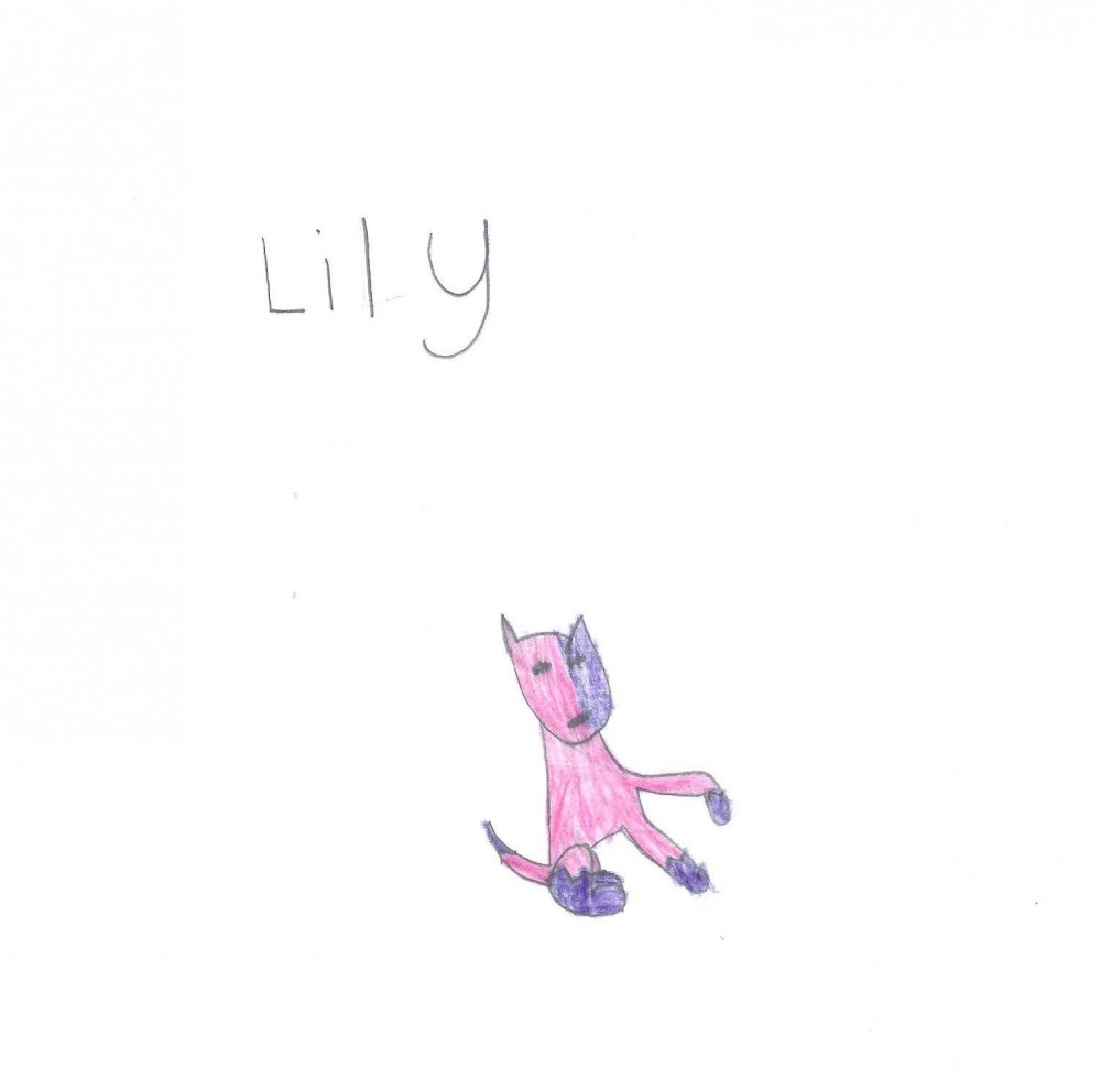 Purple and pink