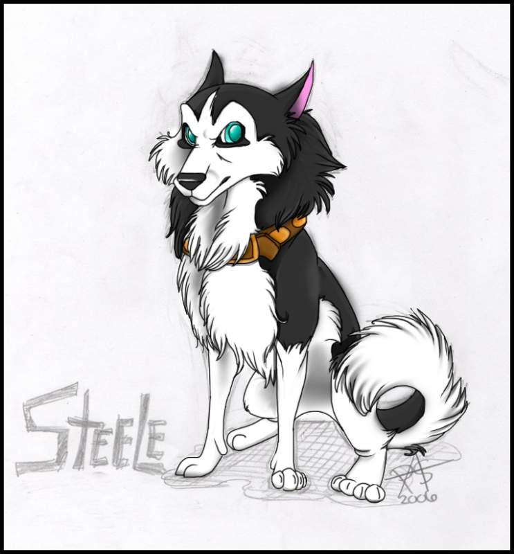 Steele-STIILL