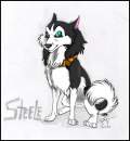 Steele-STIILL