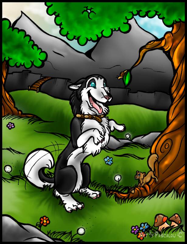 Yayy! For The Contest!