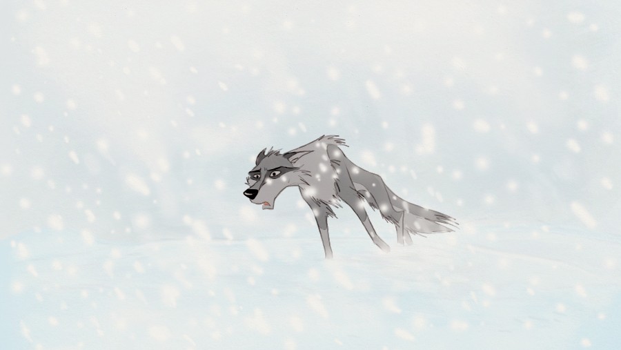 Koroo in the snow