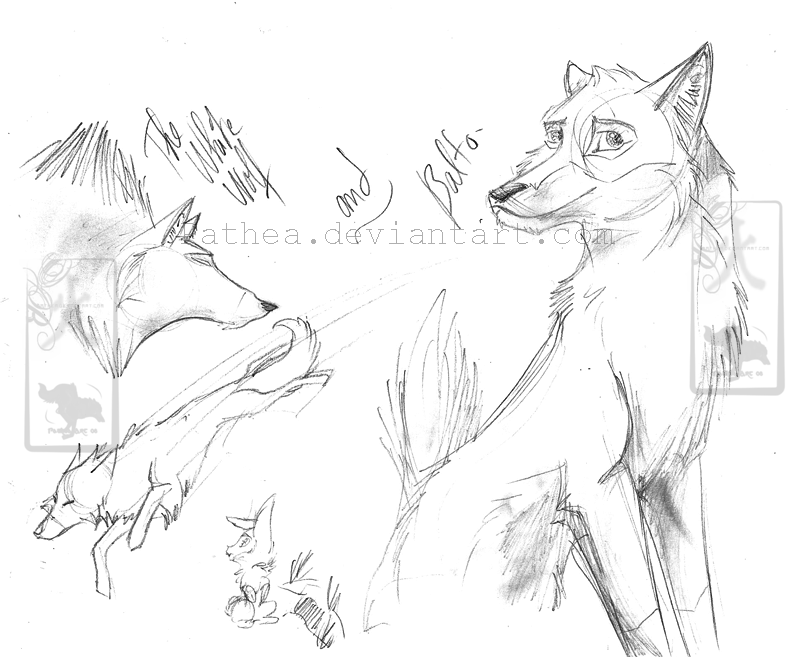 Random Sketch