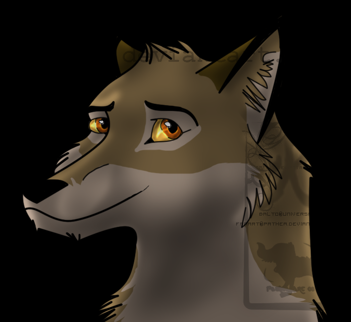 Balto portrait 