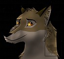 Balto portrait 