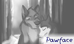 pawface