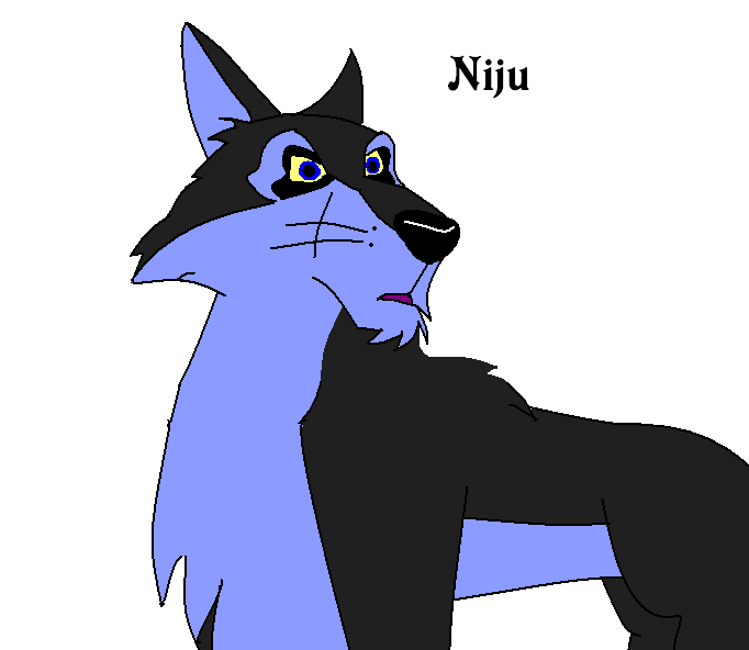 Niju