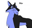Niju