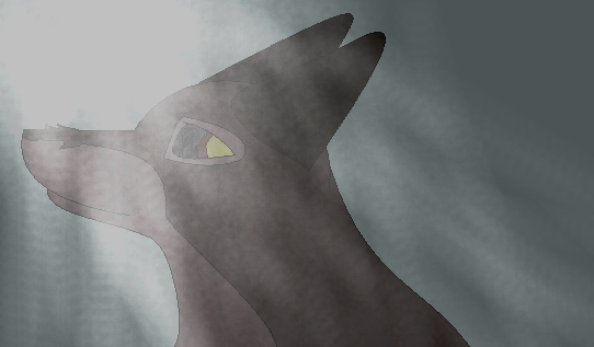 Balto