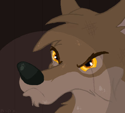 Wolves Don't Cry...