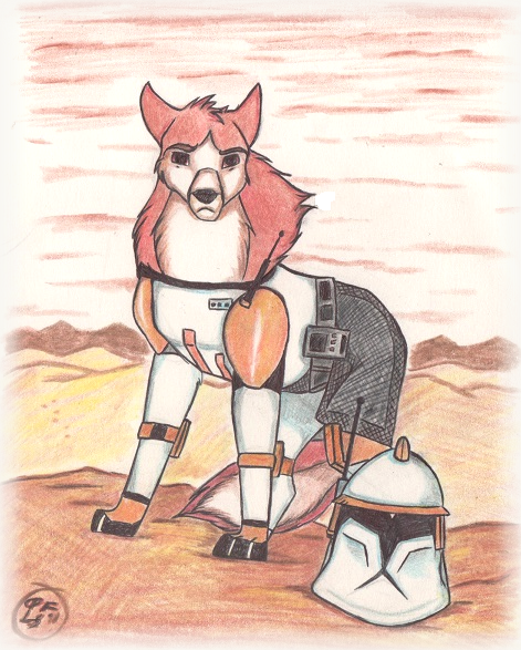 Commander Cody / Kodi