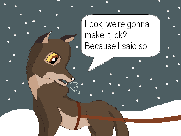 Sheer Determination