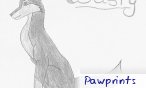 pawprints