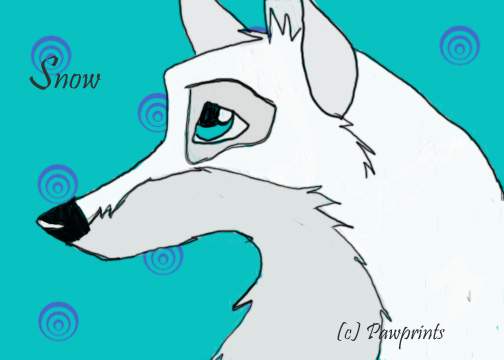 Snow