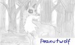 peanutwolf