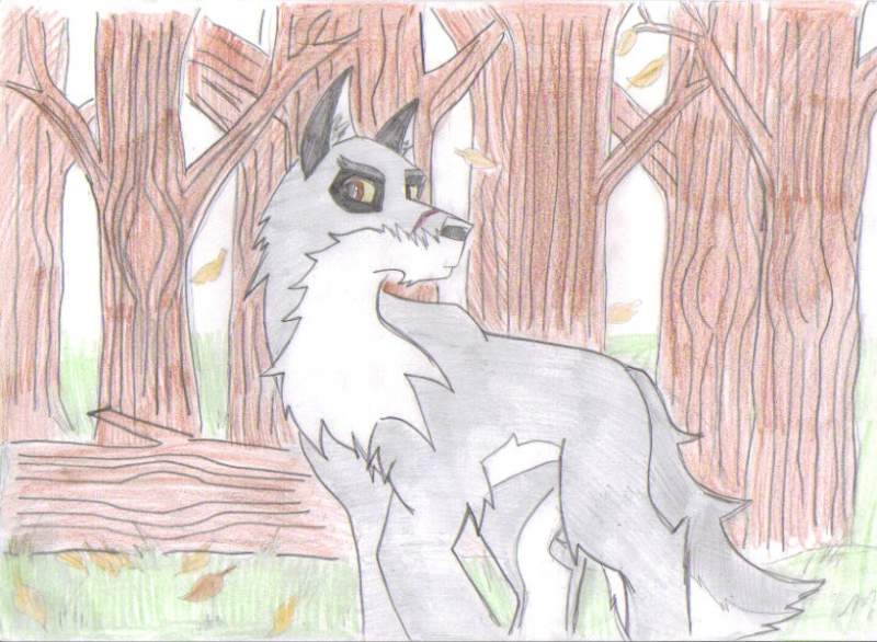 crete grandson of balto 