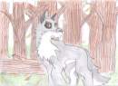 crete grandson of balto 