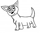 Pepa