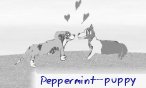 peppermint_puppy