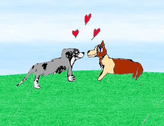 Puppy Love