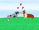 Puppy Love