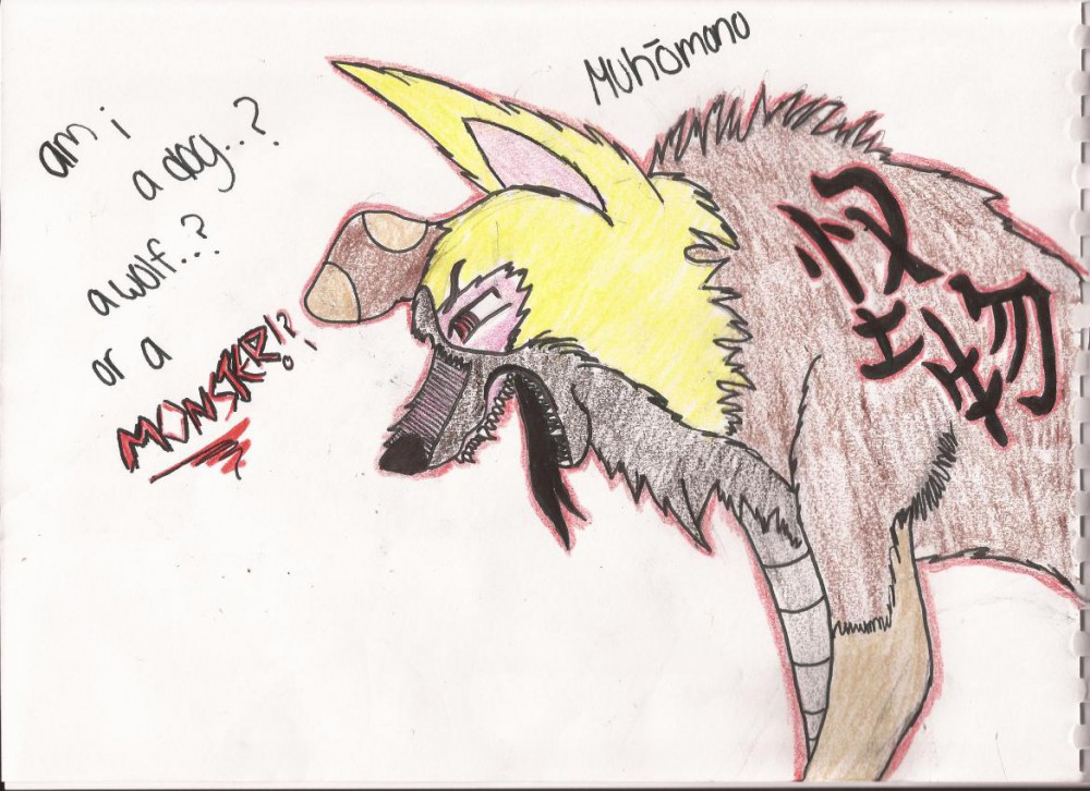 Muhomono (outlaw in japanese)
