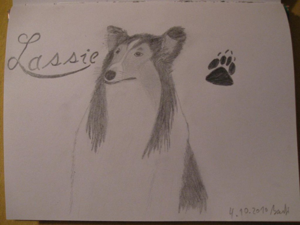 Lassie