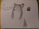 Lassie
