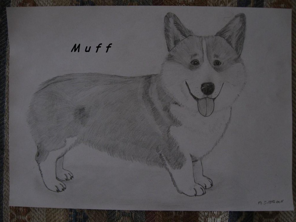 Muff