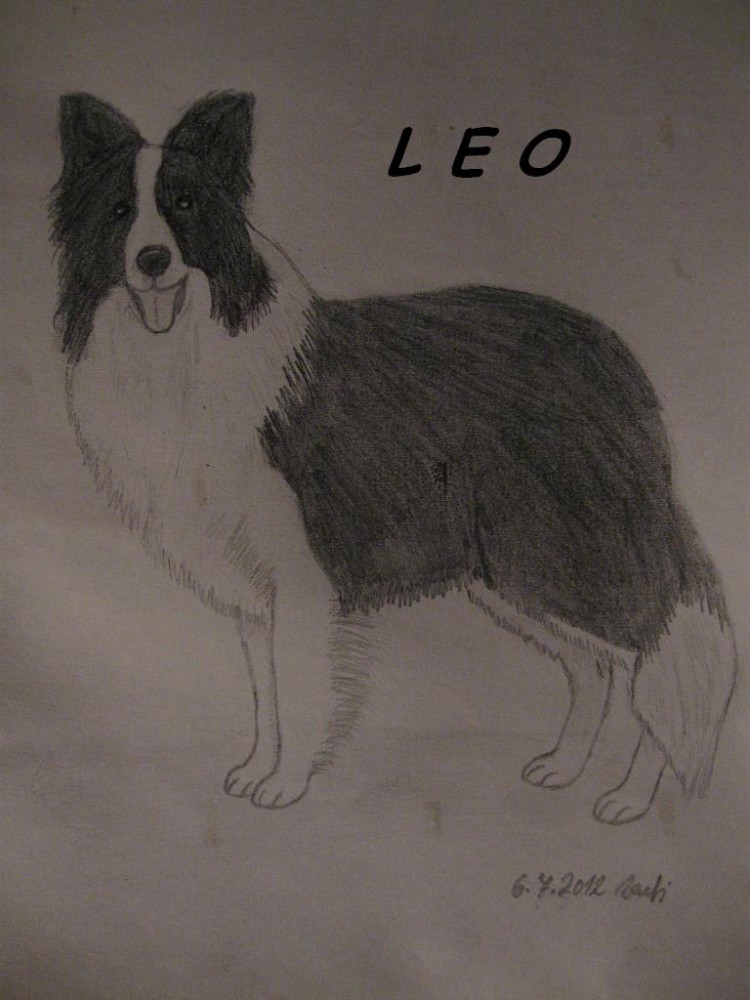 Leo