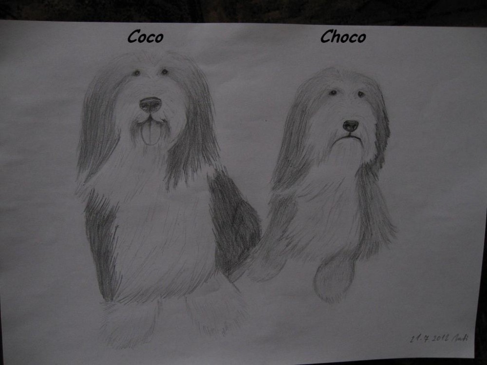 Coco and Choco