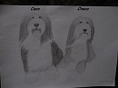 Coco and Choco