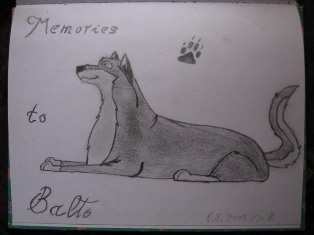 Memories to Balto