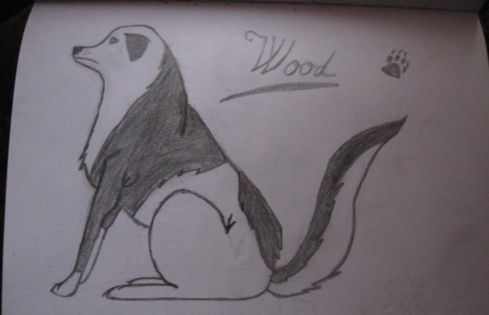 Wood
