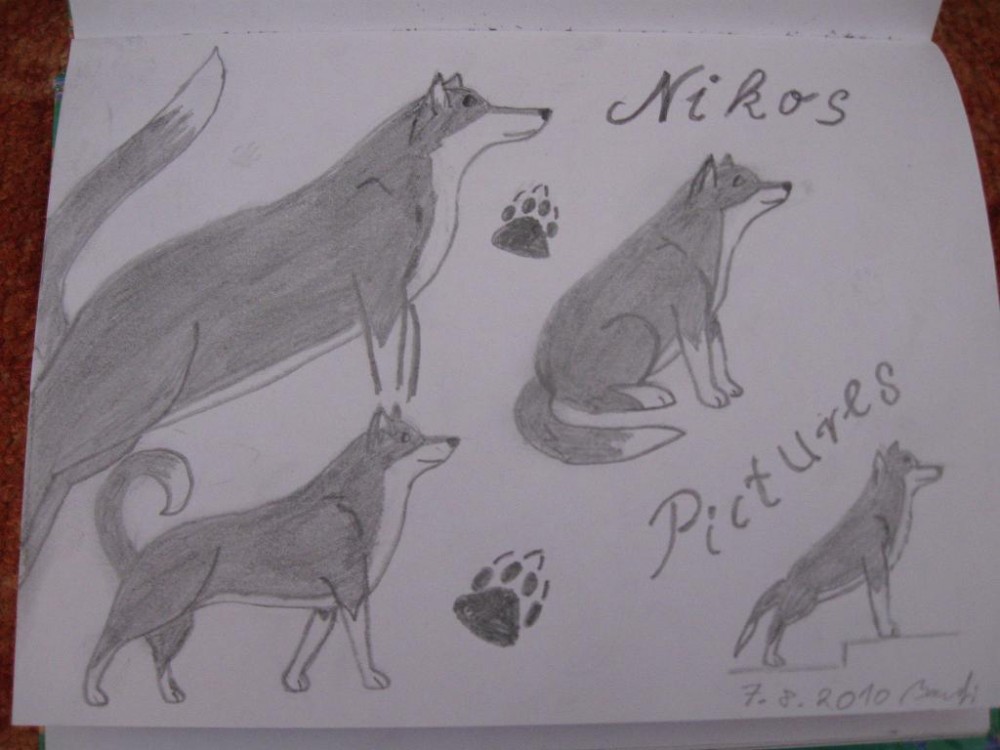 Nikos Pictures