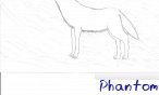 phantom