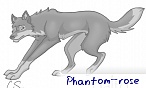 phantom_rose