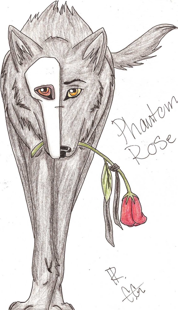 Phantom's Rose