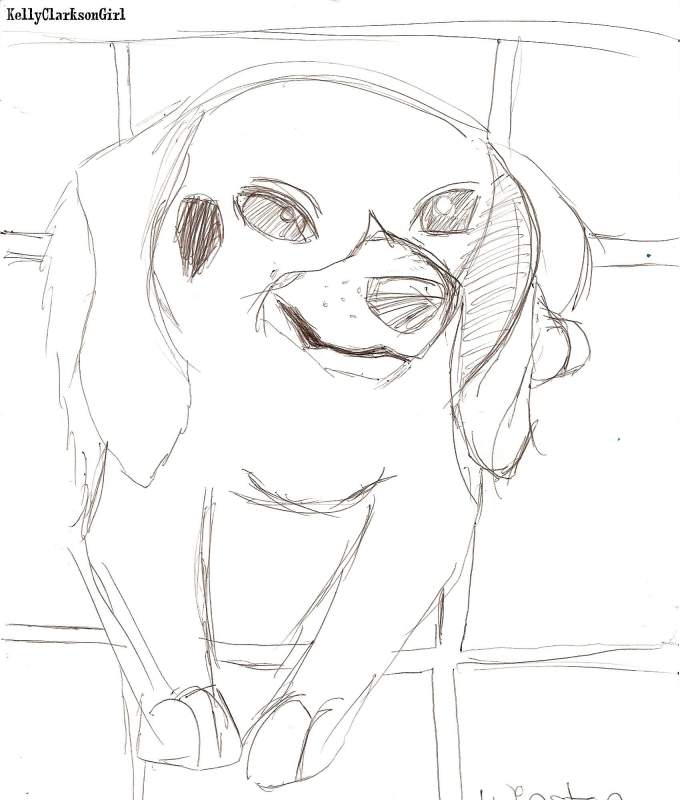 Winston