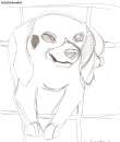 Winston