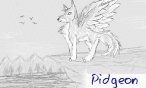pidgeon