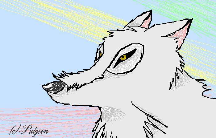 The white wolf